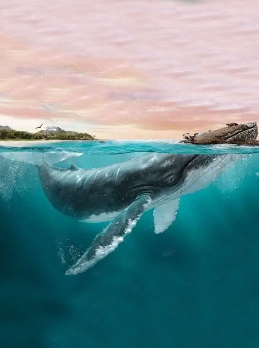 NUTRICIÓN RIOBAMBA. Asesoría Nutricional. Planes nutricionales. Valoración antropometrica. Planes de reducci�n de peso y medidas 
