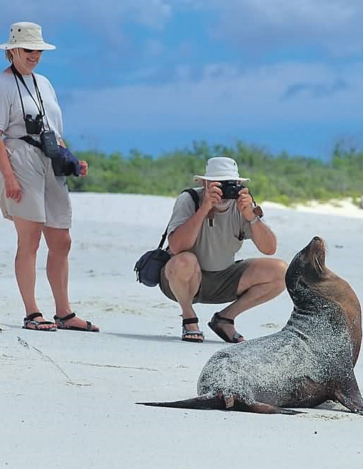 Medicina Estética Riobamba, Bioestimulación de colágeno, Hilos tensores, Tratamiento para la caída de cabello, Tratamiento de cicatrices, Tratamientos corporales, Reducción de medidas.